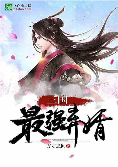 漯河：挂灯笼、亮彩灯 新春氛围感“拉满”